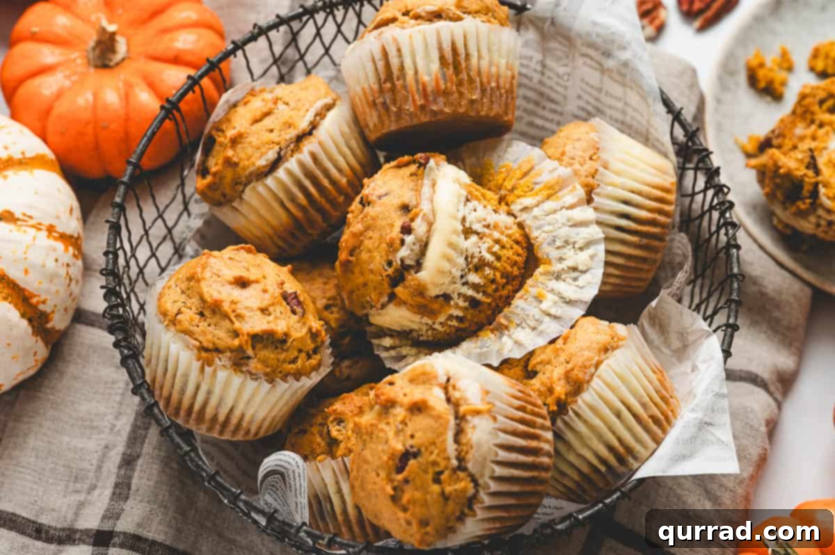 Pumpkin Cream Cheese Swirl Muffins 12 A basket filled with pumpkin cream cheese muffins surrounded by small pumpkins for a fall themed display.