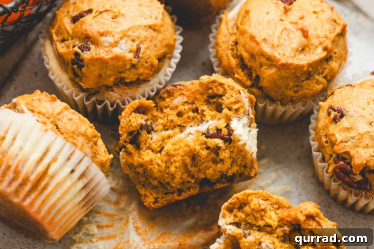 Pumpkin Cream Cheese Swirl Muffins 13 Pumpkin cream cheese muffins with one sliced open to reveal the creamy cheesecake center.