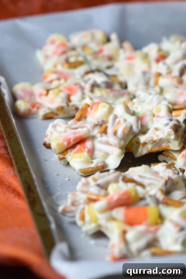 Easy Halloween Candy Corn Pretzel Bark Recipe Candy Corn Pretzel Bark cooling on parchment paper, displaying the colorful candy corn pieces embedded in white chocolate with pretzels.
