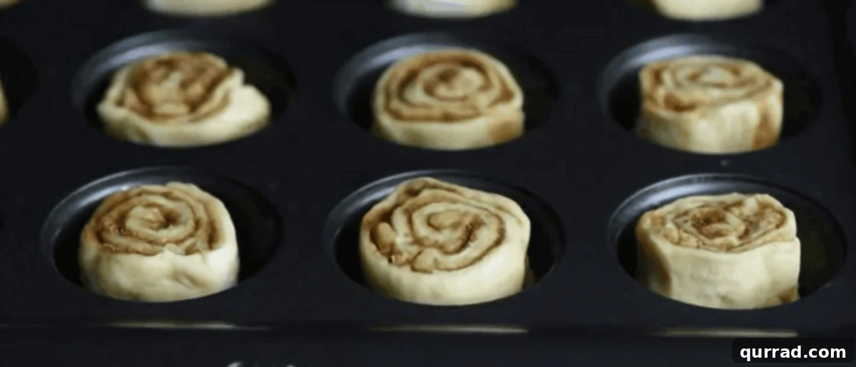 Effortless Mini Cinnamon Buns 6 Mini cinnamon rolls nestled in the cavities of a mini muffin tray, ready for baking.
