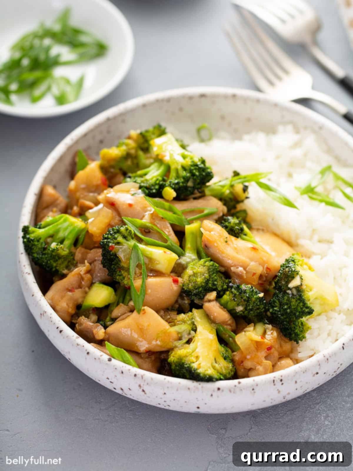 Savory Chicken and Broccoli Stir Fry 9 Chicken broccoli stir fry with white rice in a bowl, ready for serving.