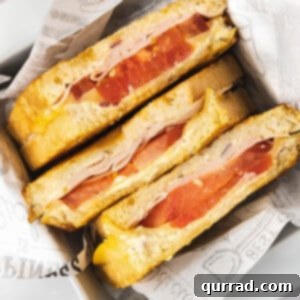3 half grilled cheese sandwiches with turkey and tomato