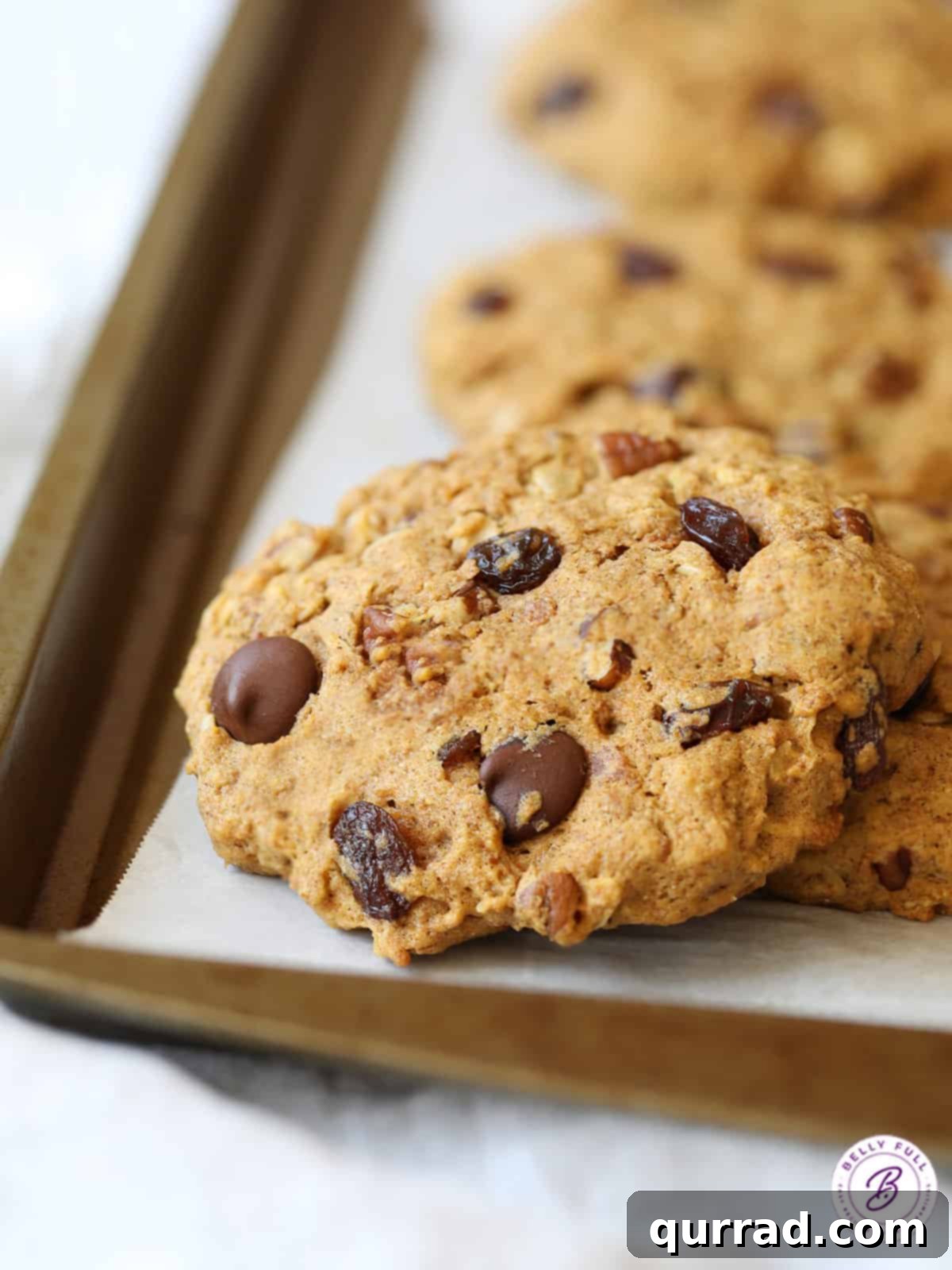 Rise and Shine Cookies 3 Close-up view of a baked breakfast cookie speckled with dark chocolate chips and golden raisins on a baking sheet, highlighting its rich texture.