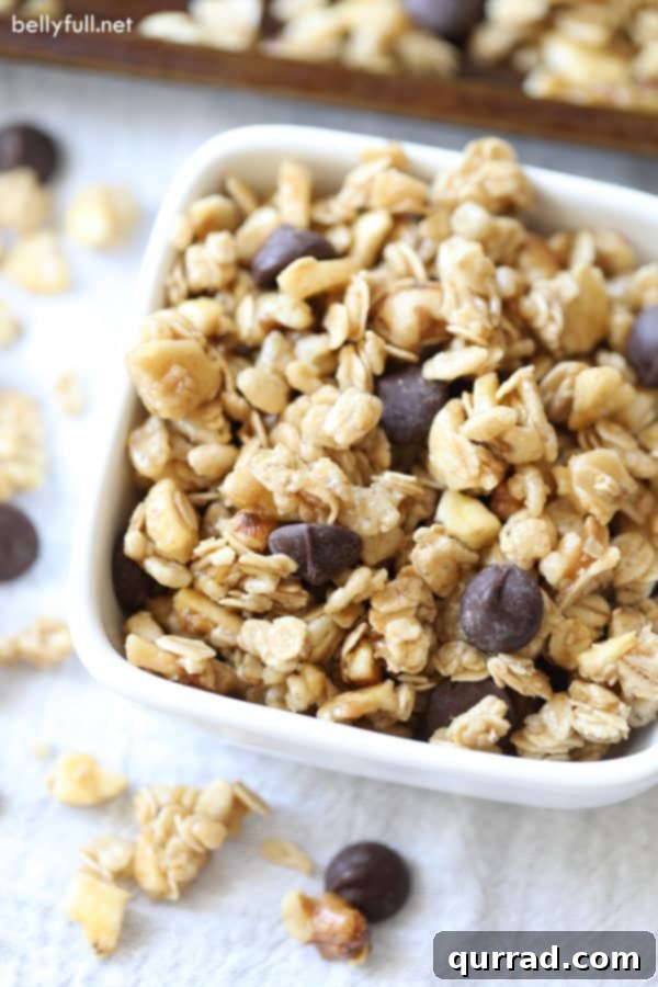 Chunky Monkey Granola in White Bowl A white bowl filled with Homemade Chunky Monkey Granola, showcasing its rich texture and ingredients.