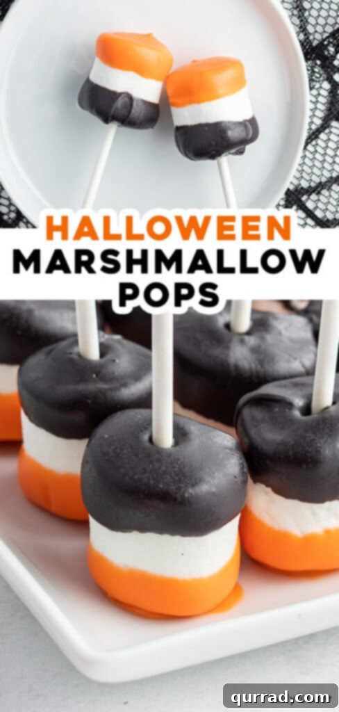A visual summary or 'pin' image for the Halloween Marshmallow Pops recipe, showcasing finished treats.