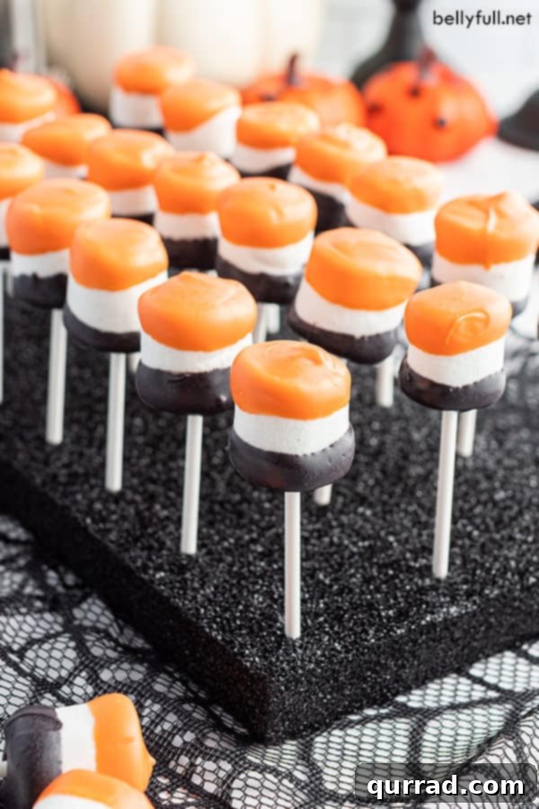A collection of Halloween Marshmallow Pops, elegantly arranged and standing upright in a black styrofoam base, showcasing their festive orange and black coatings.