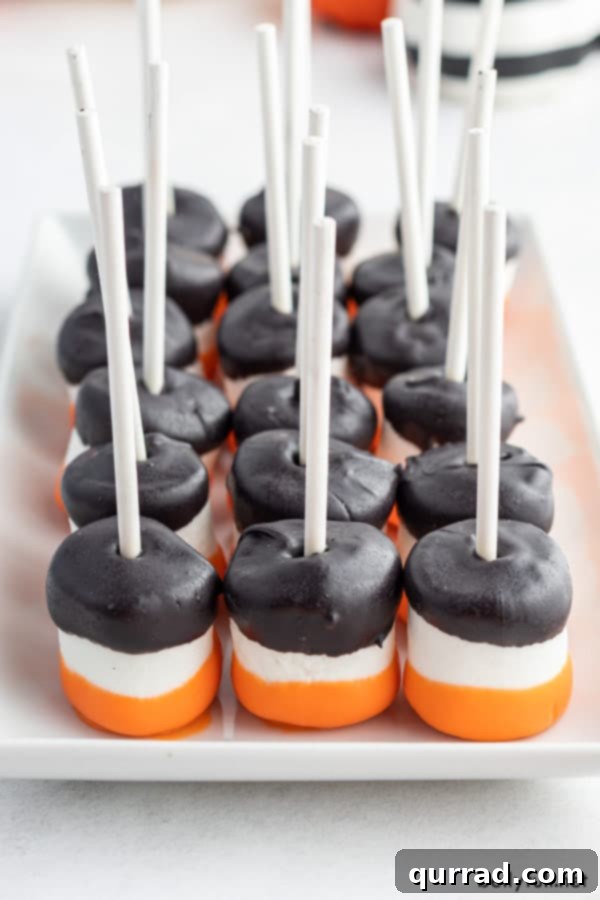 A pristine white tray displaying an organized grid of Halloween Marshmallow Pops, featuring six rows by three rows, each coated in festive black and orange candy melts on a lollipop stick.