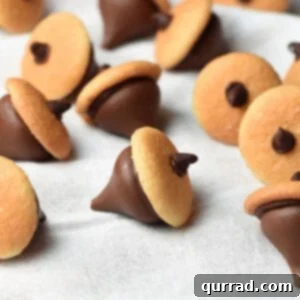 chocolate acorns with mini nilla wafer cookies and Hershey's kiss