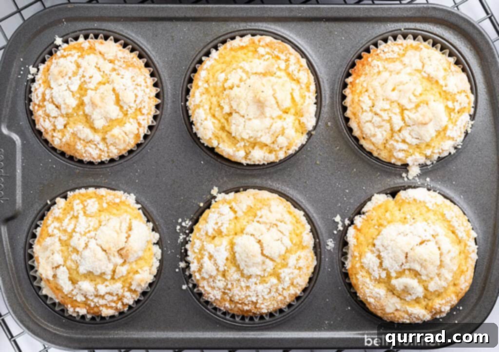 Spiced Eggnog Muffins 3 A 6-slot muffin tin filled with perfectly baked Eggnog Streusel Muffins, their golden-brown tops and crumbly texture ready to be enjoyed as a festive treat.
