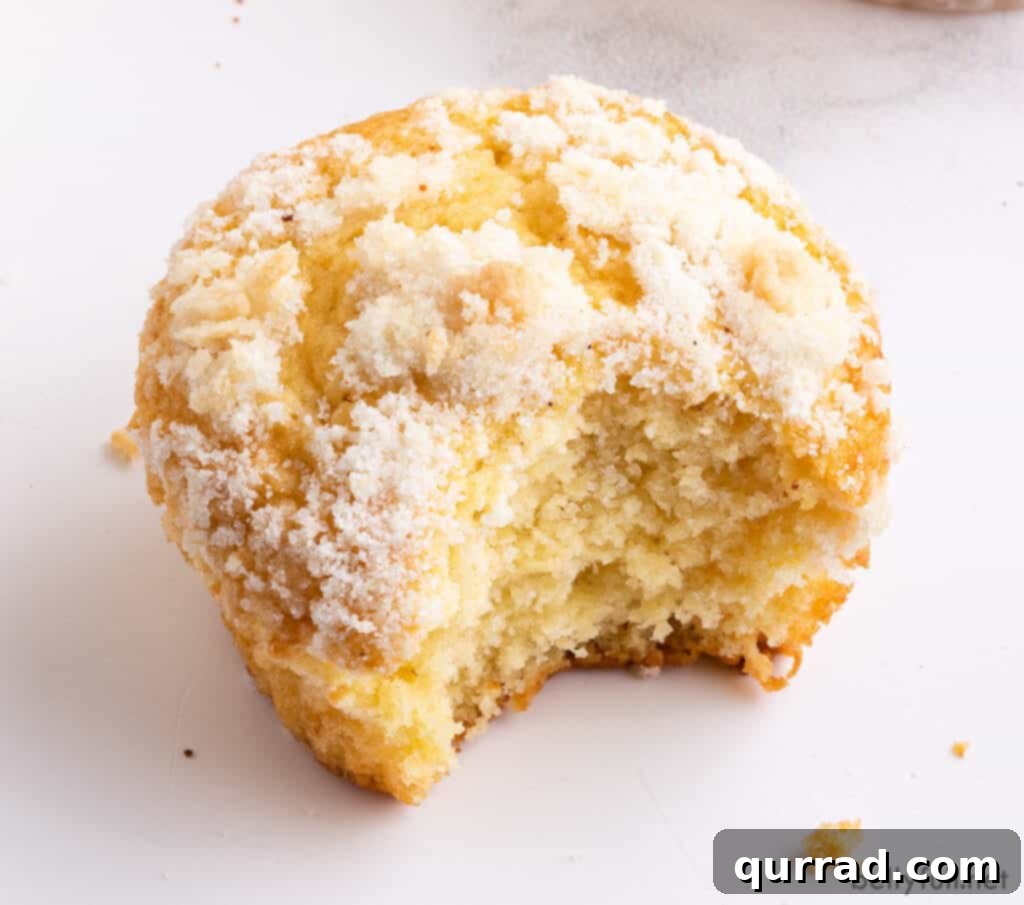 Spiced Eggnog Muffins 5 A perfectly baked Eggnog Muffin with streusel topping, showing a bite taken out, revealing its moist and tender interior, inviting you to taste.
