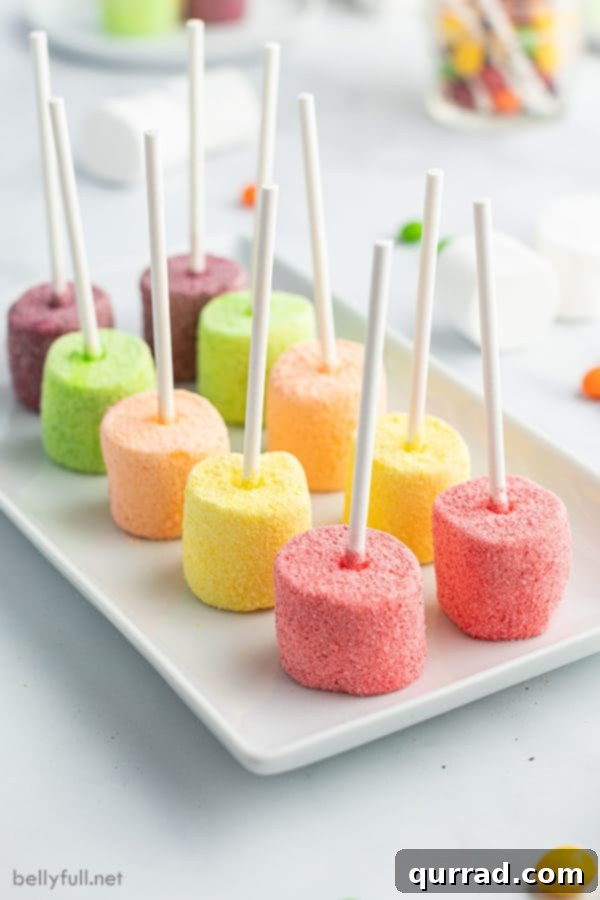Vibrant Skittles marshmallow pops artfully arranged on a pristine white plate, ready to be enjoyed.