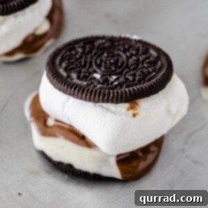 Oreo Smores 6 Close-up image of an assembled Oreo S'more, ready to be eaten