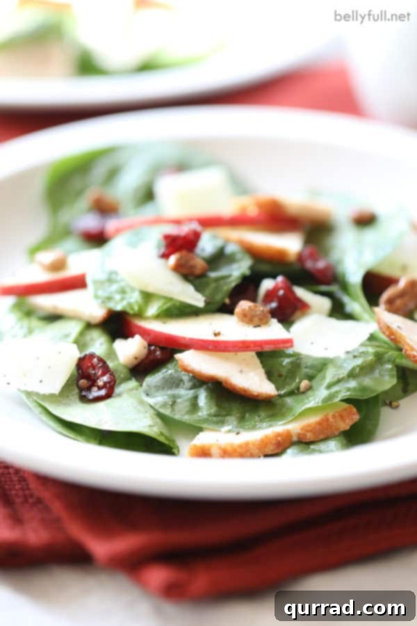 turkey salad with spinach leaves, apple slices, dried cranberries, and candied nuts