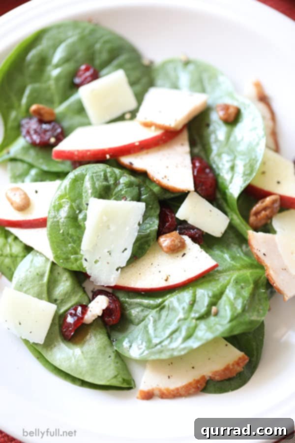 salad with shredded turkey, spinach leaves, apple slices, dried cranberries, and candied nuts