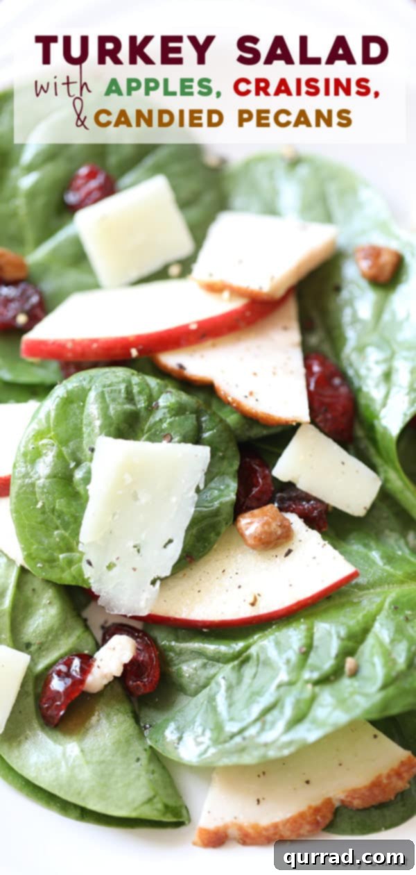 pin Leftover Turkey Salad