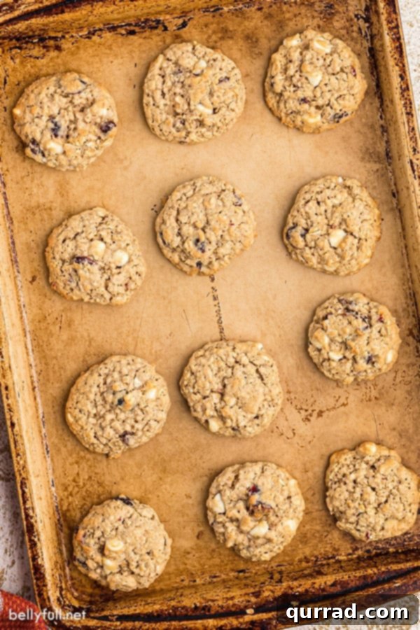 Chewy Cranberry Oat Delights 4 Overhead view of unbaked oatmeal craisin cookie dough balls neatly arranged on a baking sheet, ready for the oven.