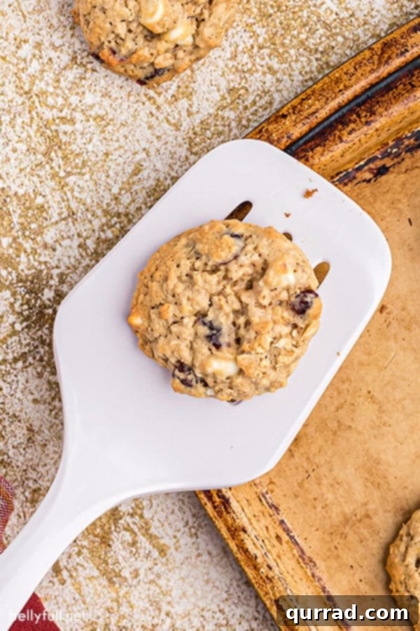 Chewy Cranberry Oat Delights 5 Close-up of a single oatmeal craisin cookie on a white spatula, showcasing its golden color, chewy texture, and abundant white chocolate and cranberry inclusions.