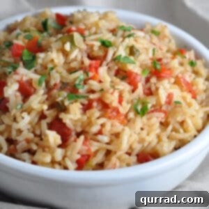 Bowl of Spanish Rice
