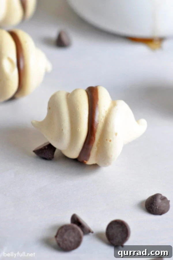 Heavenly Chocolate Meringues 2 close up of chocolate meringue cookies, highlighting their light and airy texture