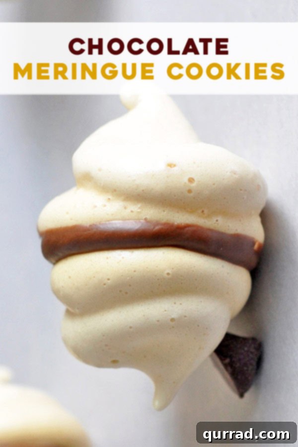 Heavenly Chocolate Meringues 4 pin for chocolate meringue cookies recipe