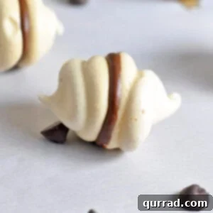 close up of chocolate meringue cookies
