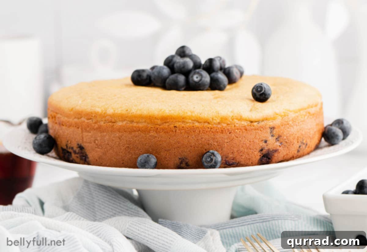 Fluffy Rice Cooker Pancakes 3 whole giant pancake on cake stand topped with blueberries