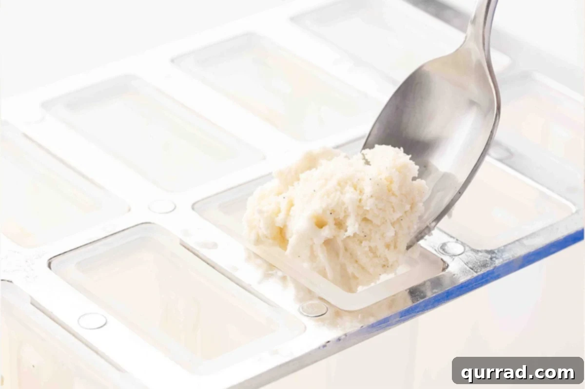 Citrus Cream Dream 5 Scooping softened vanilla ice cream into individual popsicle molds.