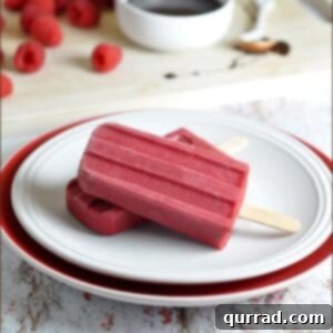 Chocolate-Raspberry Popsicles - ready to be enjoyed