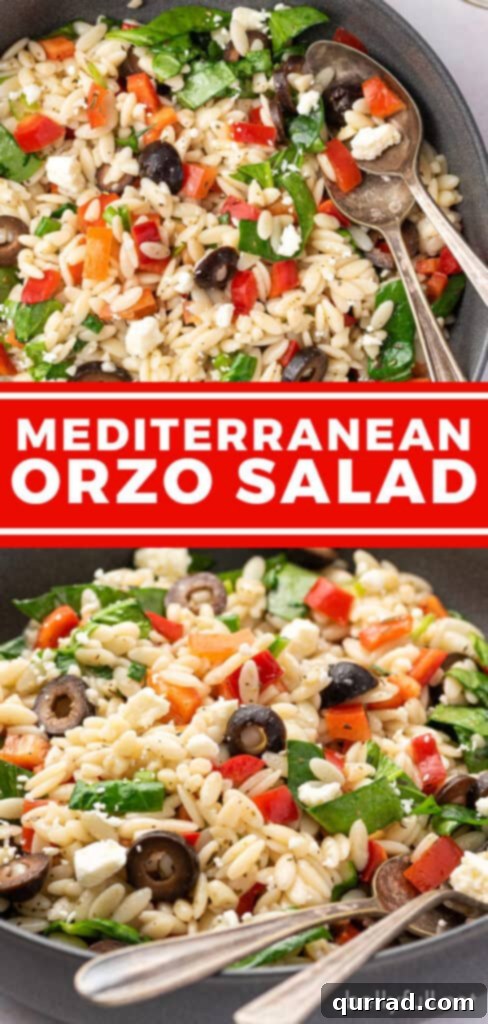Sun-Kissed Mediterranean Orzo 6 Vertical Pinterest pin image for Greek Orzo Salad, featuring a vibrant bowl of the salad.