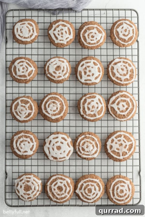 Spooky Chocolate Spiderweb Sugar Cookies 3 An overhead view of twenty freshly baked chocolate sugar cookies on a cooling rack, each beautifully decorated with white spiderweb icing, awaiting a Halloween celebration.