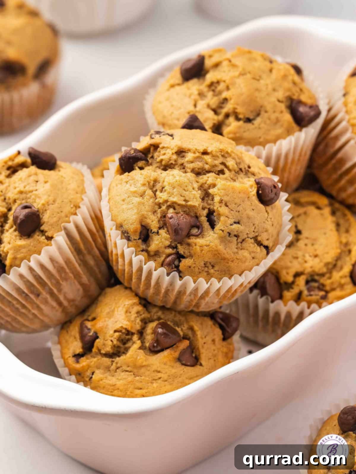 Every bite of these Chocolate Chip Coffee Muffins is dotted with gooey chocolate chips and infused with coffee flavor. Quick and easy! Chocolate chip coffee muffins in a baking dish