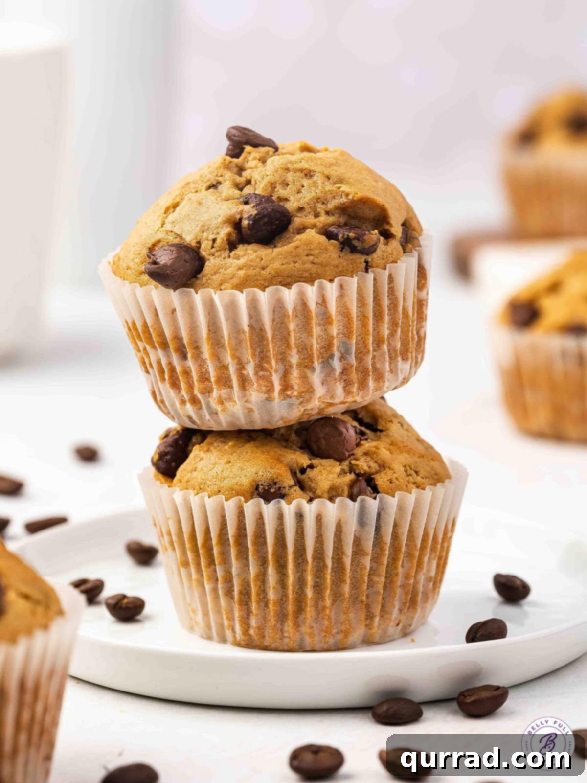 Every bite of these Chocolate Chip Coffee Muffins is dotted with gooey chocolate chips and infused with coffee flavor. Quick and easy! Two chocolate chip coffee muffins piled on each other