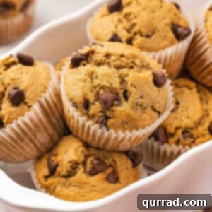 Chocolate chip coffee muffins in a baking dish