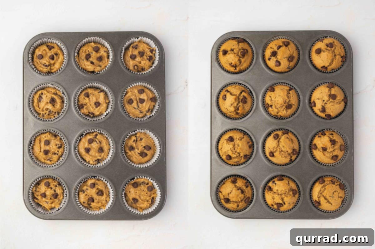 Every bite of these Chocolate Chip Coffee Muffins is dotted with gooey chocolate chips and infused with coffee flavor. Quick and easy! Chocolate chip coffee muffins in a muffin tin before and after baking