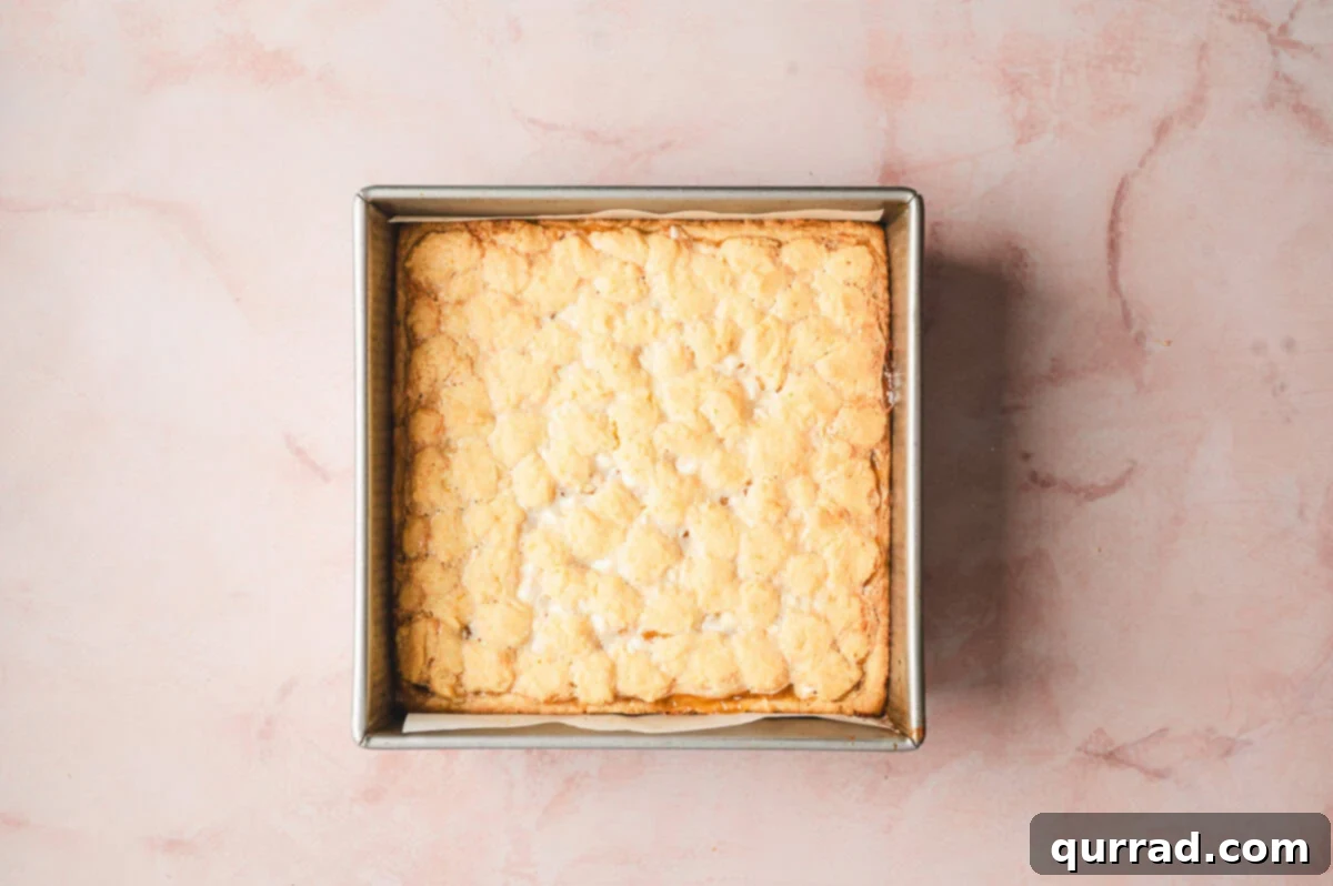Zesty Lemon Bliss Bars 9 uncut baked lemon gooey bars in square baking dish, lightly browned