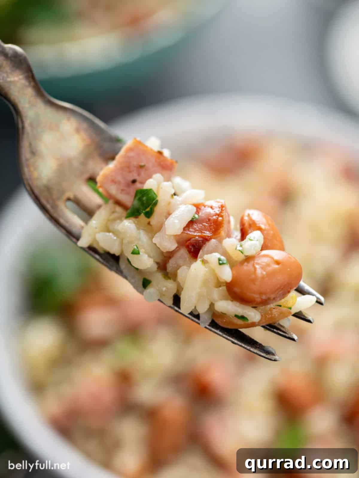 portion of cooked rice and pinto beans on fork