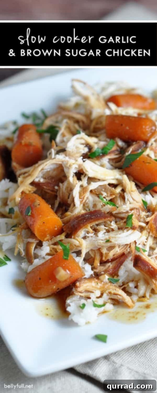 Overhead view of Slow Cooker Garlic and Brown Sugar Chicken and carrots served with rice