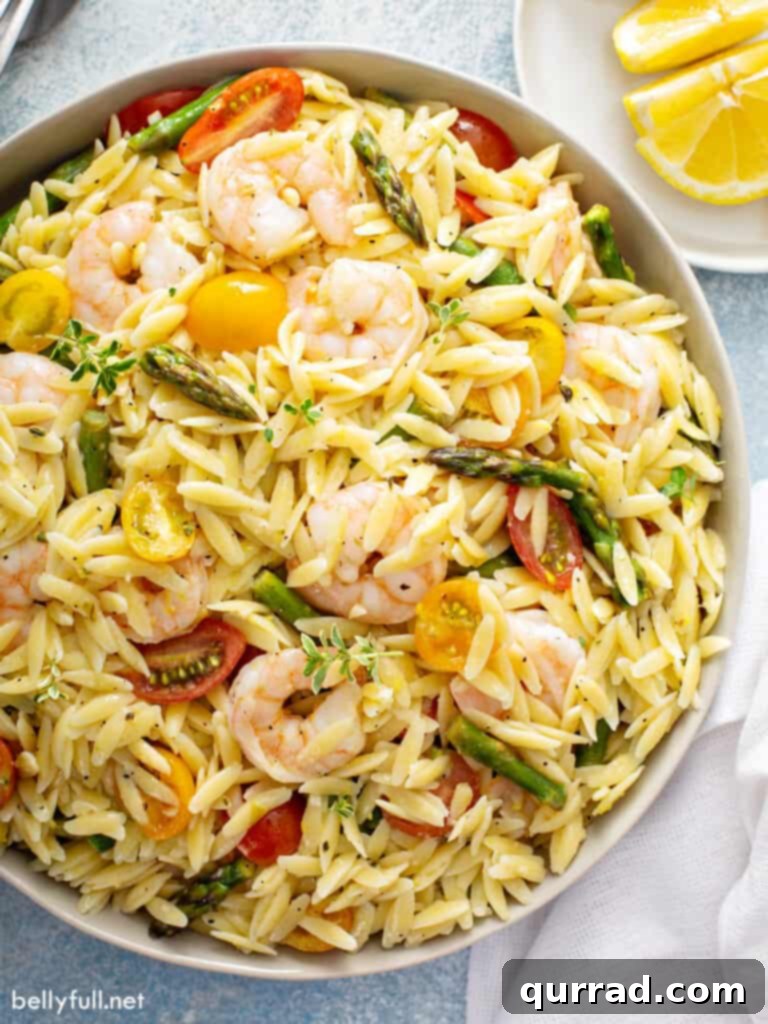 Bright Lemon Orzo Pasta Salad 2 overhead close up of Orzo Salad with shrimp and asparagus