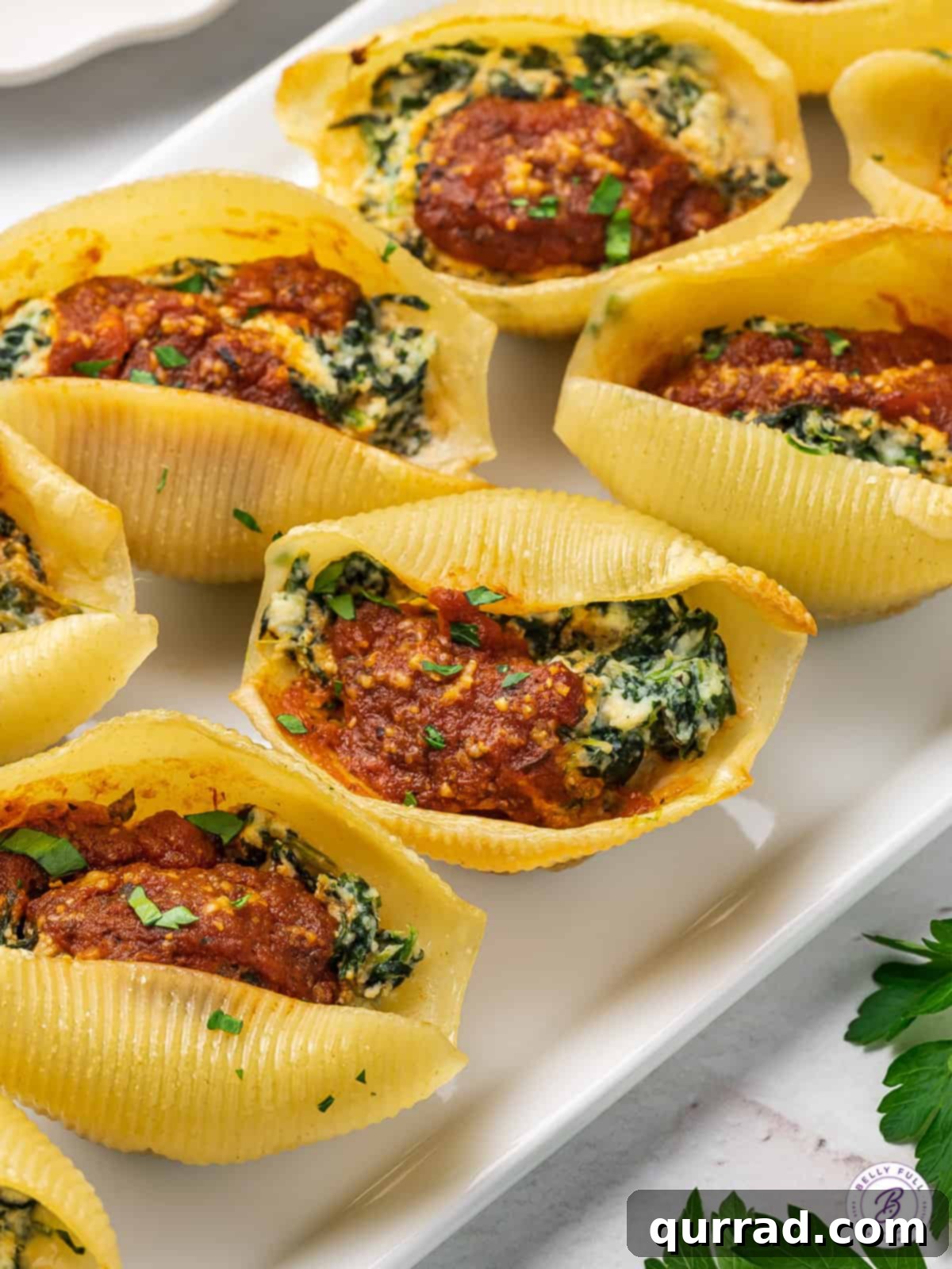 Grand Stuffed Pasta Shell Bites 5 Close-up of baked jumbo stuffed pasta shells arranged on a white serving platter, garnished with fresh parsley.