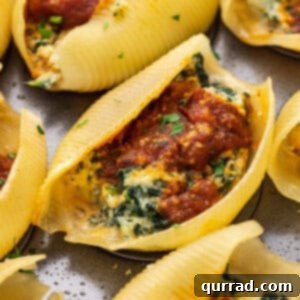 Grand Stuffed Pasta Shell Bites 6 Close-up of a perfectly baked jumbo stuffed pasta shell, garnished with fresh parsley.