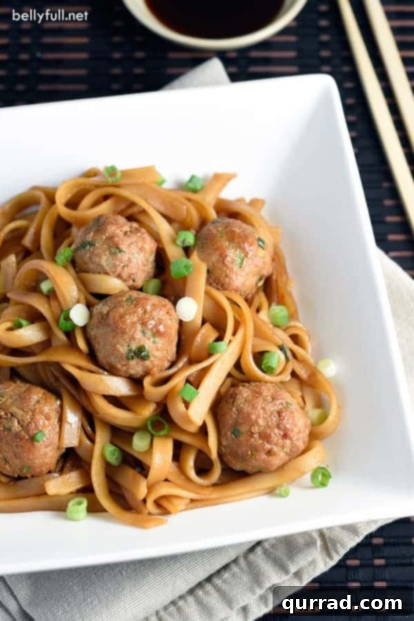 Traditional meatballs with an Asian twist, using ground pork, soy and hoisin sauces. Then served over sesame rice noodles for an easy and complete meal!