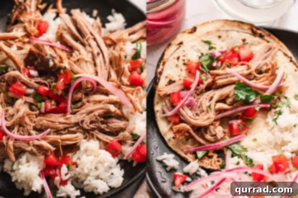 Shredded Cuban pork over rice and tortillas with pico de gallo, ready to eat.