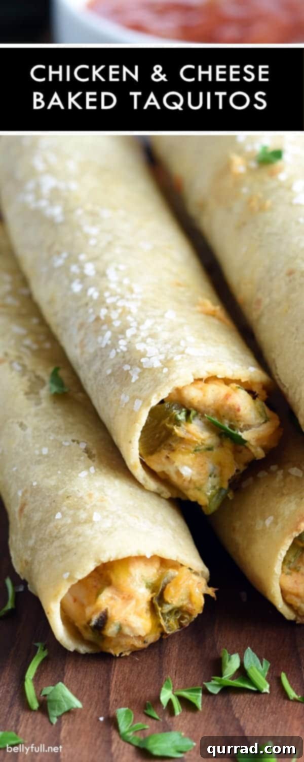 Crispy Chicken and Cheese Taquitos 5 A plate of freshly baked chicken and cheese taquitos garnished with cilantro and served with dipping sauces.