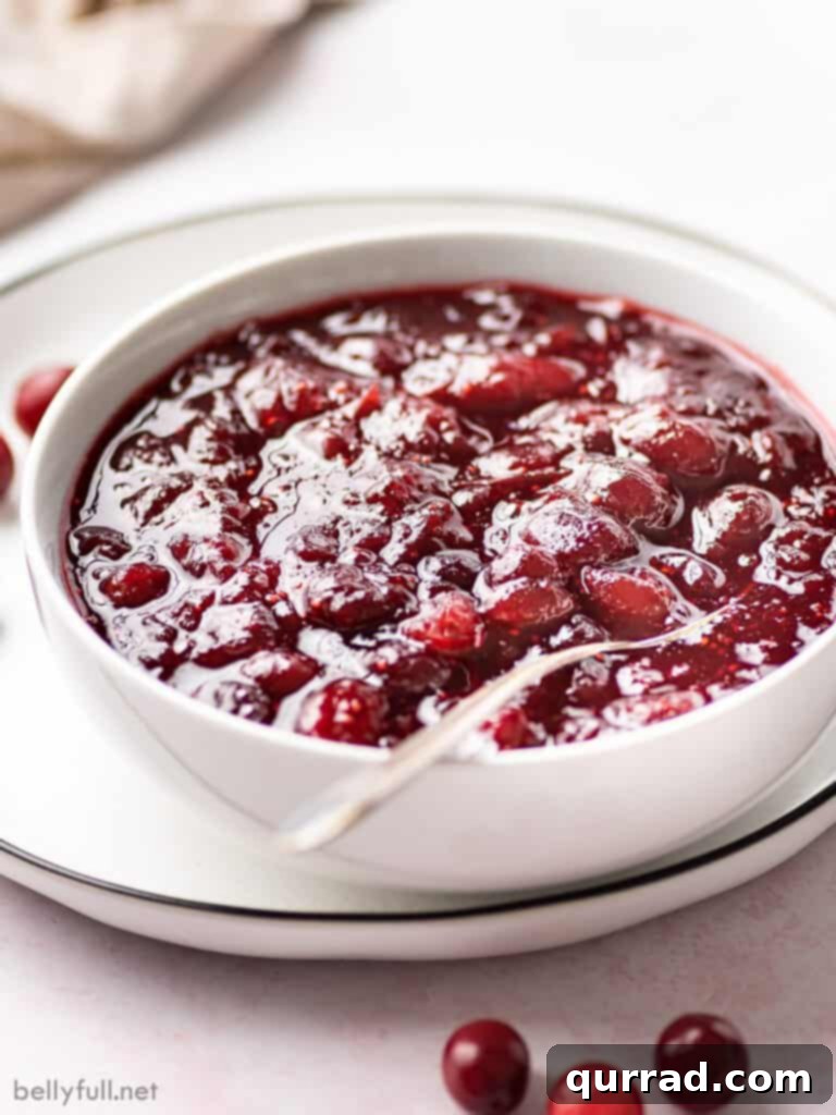 Sweet and Tart Homemade Cranberry Sauce 4 A side angle shot of homemade cranberry sauce in a decorative bowl with a spoon resting on the side, highlighting its thick, luscious texture.