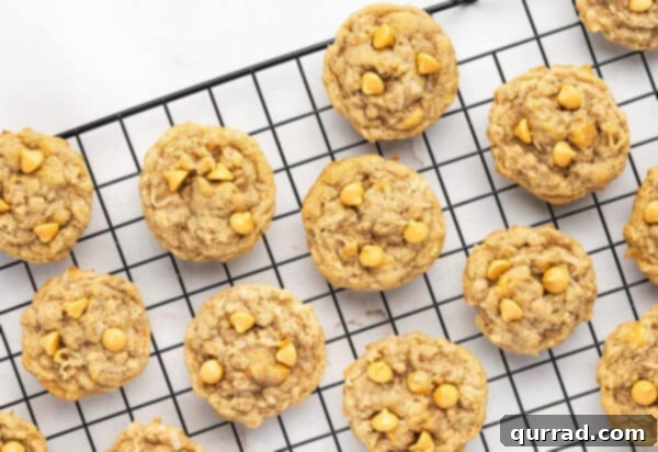 Layers of Cookie Joy 12 Overhead close up view of butterscotch oatmeal cookies