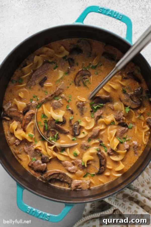 Velvety Beef Stroganoff Pot 3 Overhead view of Beef Stroganoff Soup simmering in a large pot with a ladle, ready to be served.