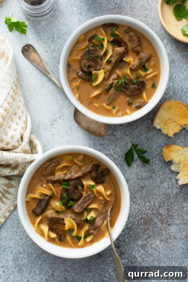 Velvety Beef Stroganoff Pot 4 Overhead shot of two white bowls filled with steaming Beef Stroganoff Soup, garnished with fresh parsley.