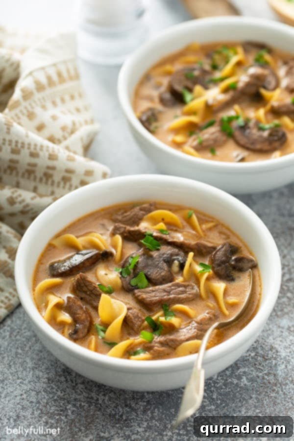 Velvety Beef Stroganoff Pot 5 Two white bowls filled with a steaming, hearty beef and noodle soup, garnished and ready to eat.