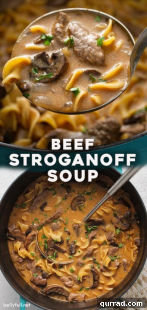 Velvety Beef Stroganoff Pot 6 Pinterest pin image for One-Pot Beef Stroganoff Soup, featuring a delicious bowl of soup.