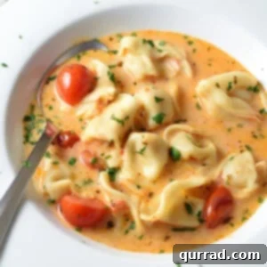 Bowl of cheese tortellini soup with tomatoes.